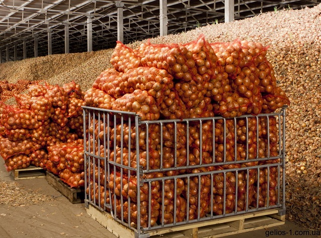 200 triệu kinh doanh gì ở nông thôn