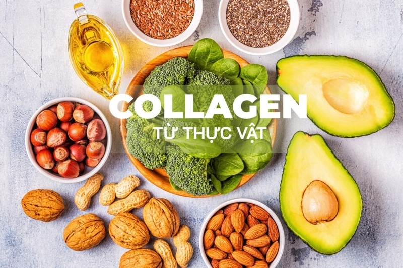 Collagen từ thực vật: Xu hướng mới trong làm đẹp và chăm sóc sức khỏe 3