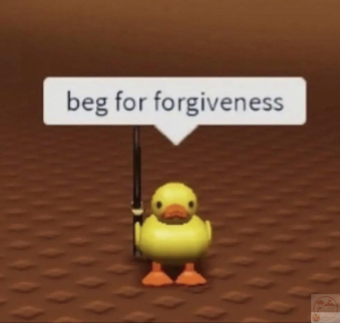 Vịt meme cute weibo nổi bật nhờ sự dễ thương ngộ nghĩnh và lan truyền nhanh