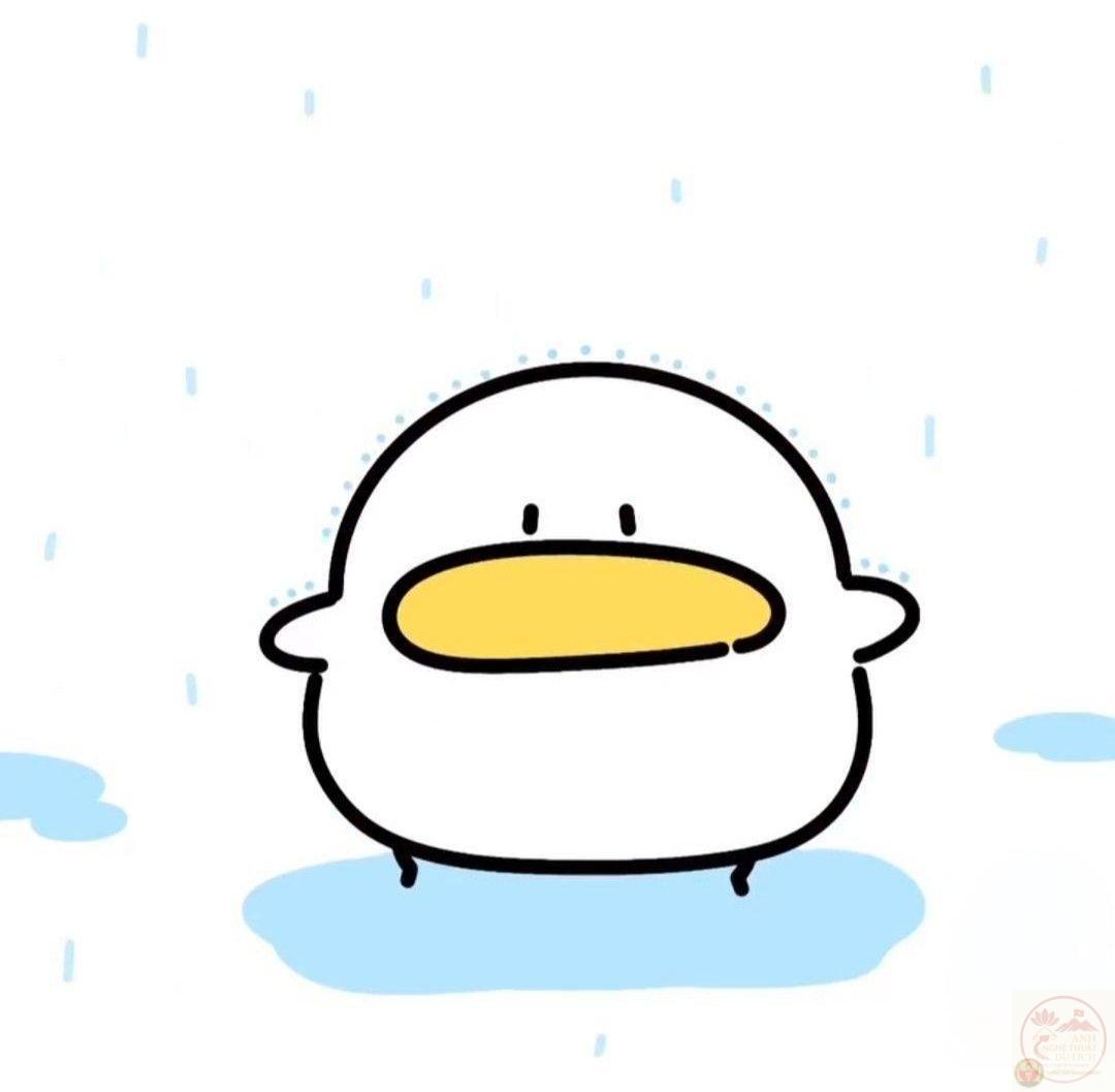 Meme vịt cute weibo
