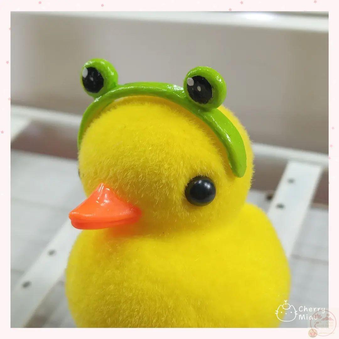 Loạt ảnh vịt vui nhộn khiến cộng đồng thích thú chia sẻ với bạn bè liên tục