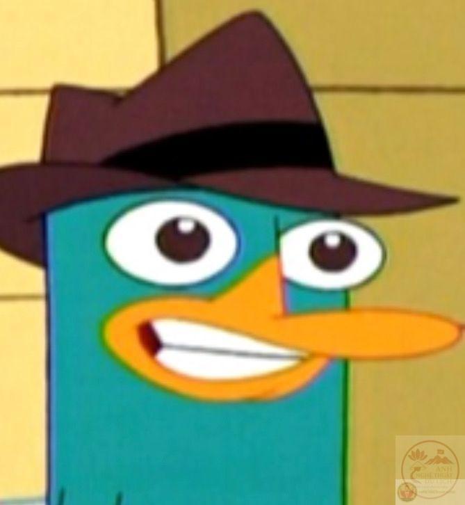 Nét đáng yêu của thú mỏ vịt được biến tấu thành trò vui vô cùng sáng tạo