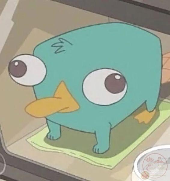 Một phiên bản thú mỏ vịt chế đáng yêu khiến cuộc trò chuyện thêm sinh động