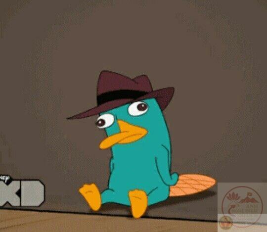 Một chi tiết thú mỏ vịt tinh nghịch khiến bức ảnh trở nên hấp dẫn hơn