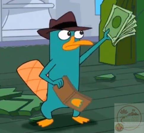 Meme thú mỏ vịt vui nhộn được cộng đồng chia sẻ rầm rộ trong thời gian ngắn