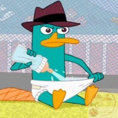 Meme thú mỏ vịt bá đạo trở thành lựa chọn giải trí quen thuộc cho giới trẻ