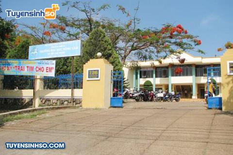 Đại học Nông lâm TP. HCM - Phân hiệu tại Gia Lai