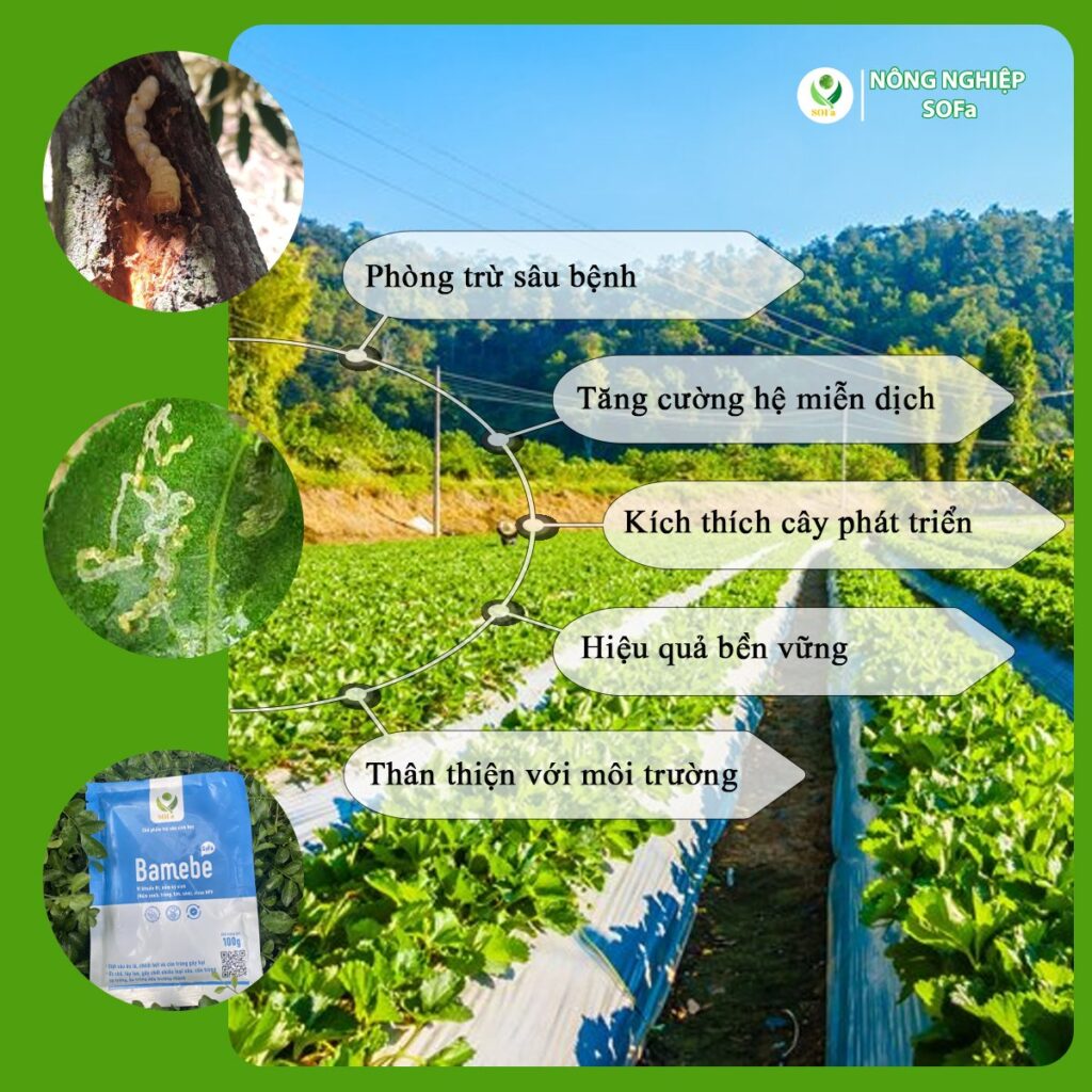 2f8bd70fa7380c665529 1