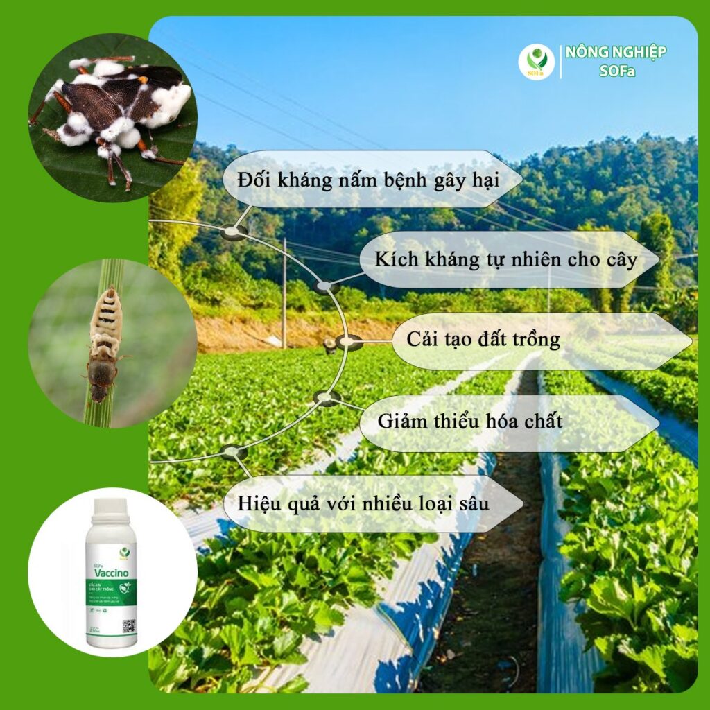 a632aa81dab671e828a7