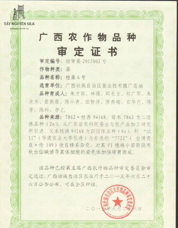 HẠT GIỐNG DÂU LAI TAM BỘI GUISANGYU SỐ 6