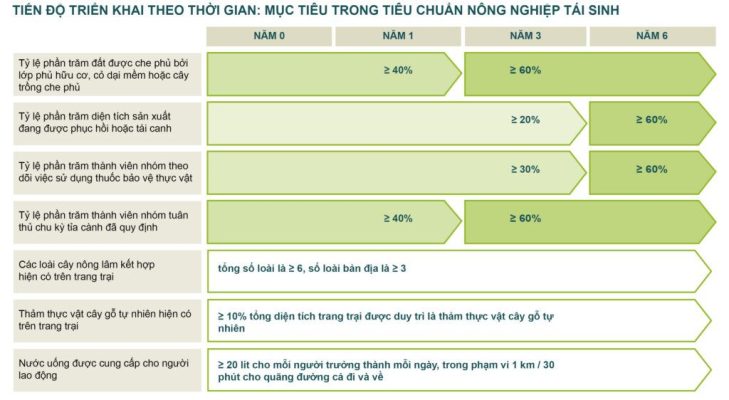 Cách Tiêu chuẩn Nông nghiệp Tái sinh của chúng tôi Tạo ra Tác động