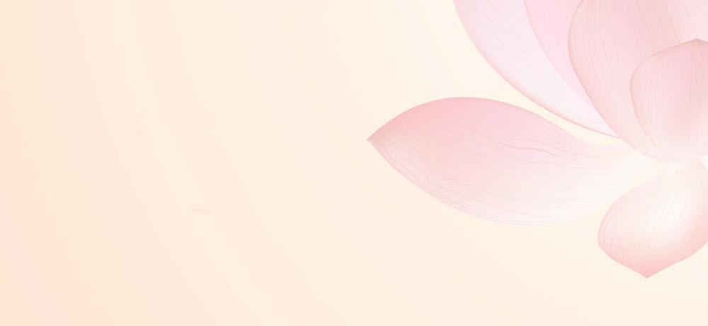 hình nền Powerpoint hoa sen 18