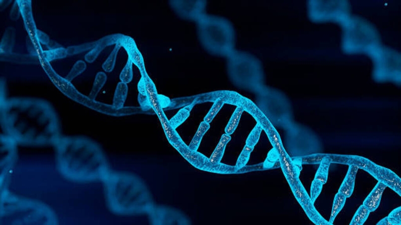 Đặc điểm chung của DNA và RNA là gì? Có sự khác biệt nào hay không?