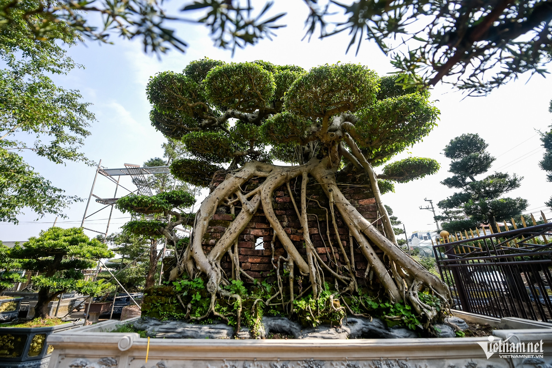 W-cặp xanh 10 tỷ_11.jpg