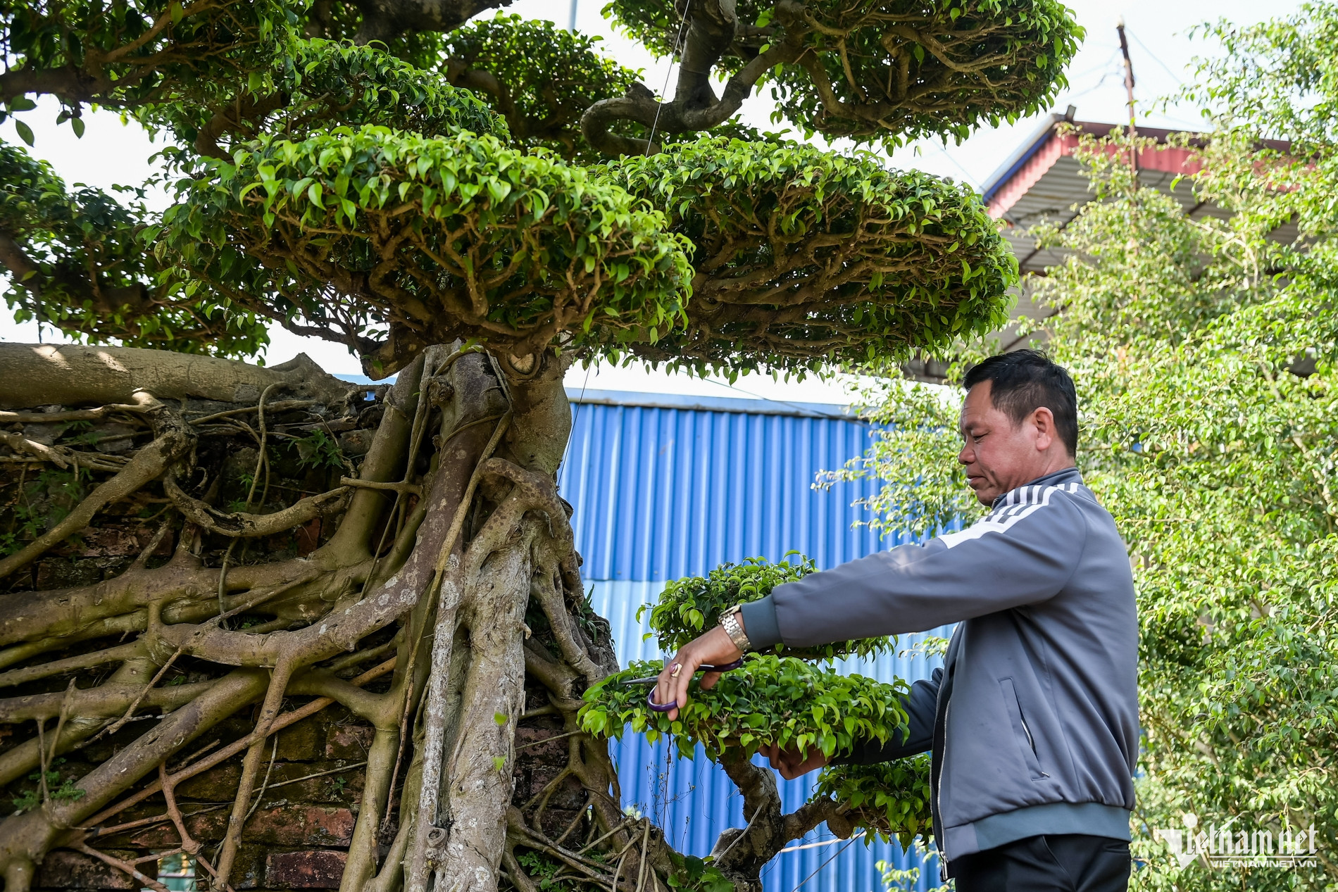 W-cặp xanh 10 tỷ_5.jpg