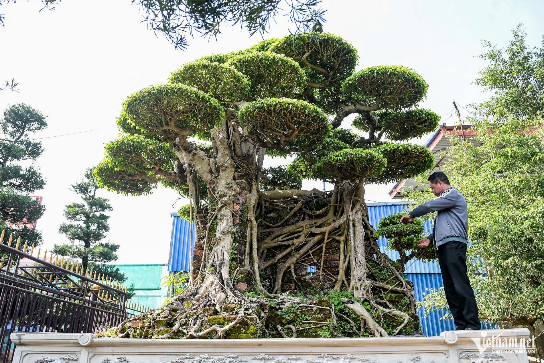 W-cặp xanh 10 tỷ_6.jpg