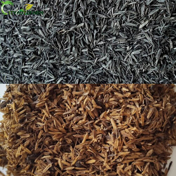 Cách phân biệt trấu đã hun và trấu ủ