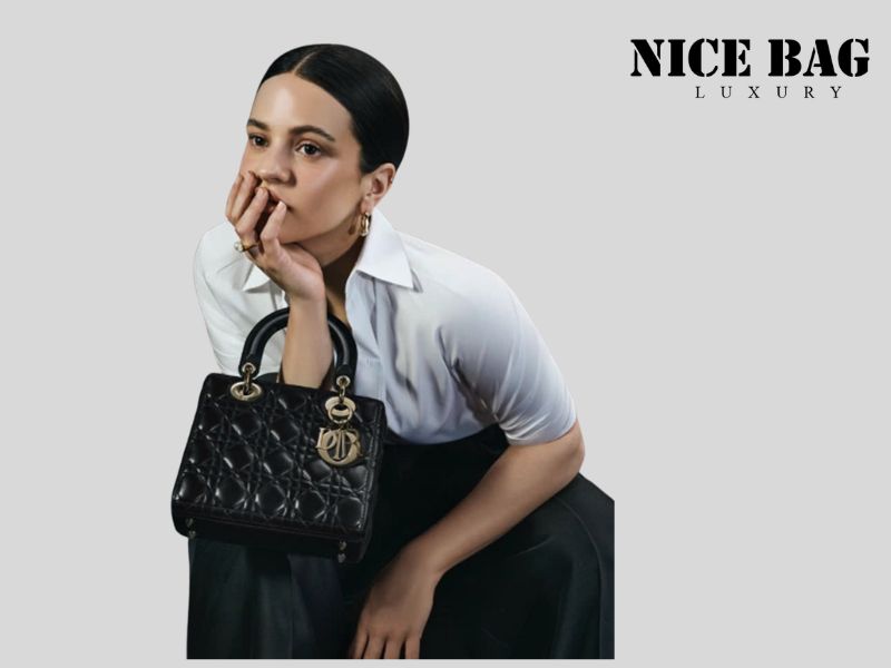 Nice Bag cung cấp đa dạng mẫu túi Dior Lady với chất lượng giống hàng chính hãng đến 99%