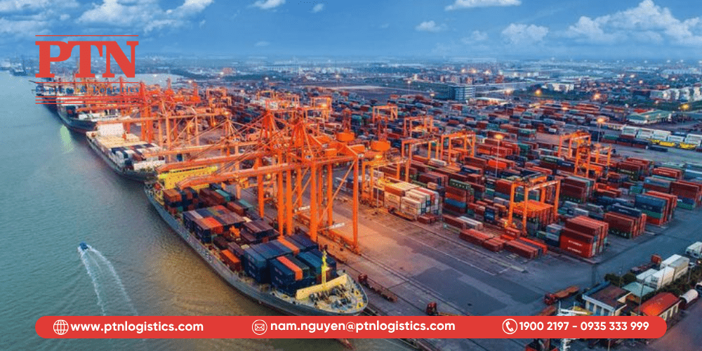 Hưởng lợi từ sự phát triển hạ tầng cảng biển