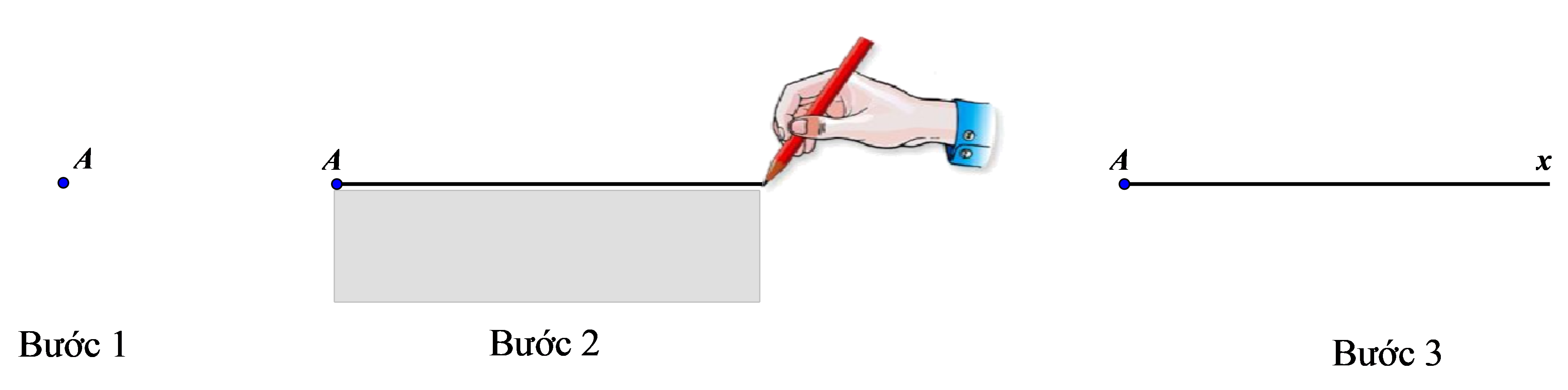 tim-hieu-ve-tia-tia-doi-tia-trung-nhau-cuc-chi-tiet-va-de-hieu-1