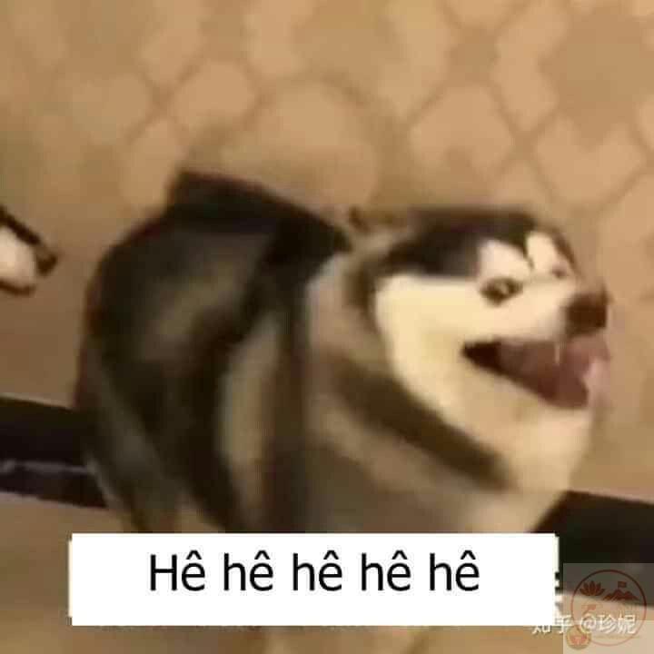 Tiếng cười hẹ hẹ hẹ khiến ai đọc cũng cảm thấy vui vẻ ngay