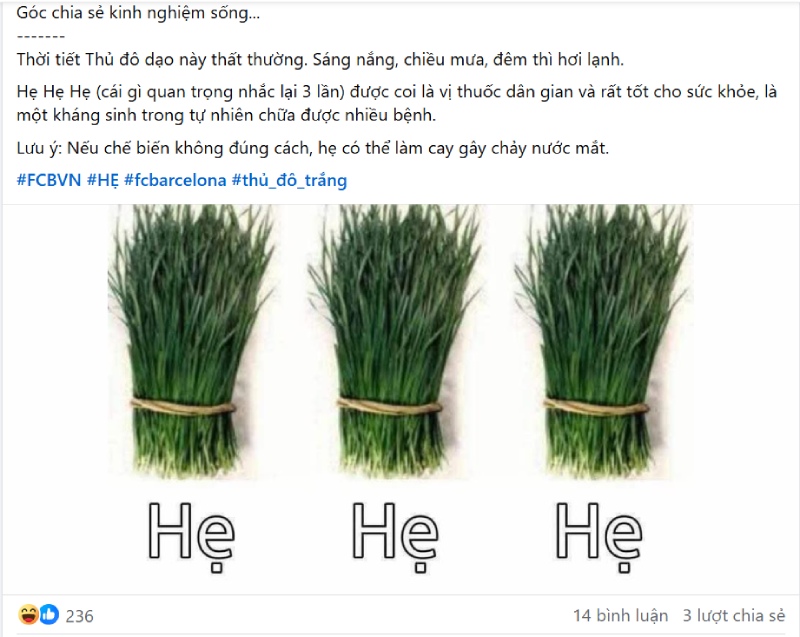 Caption hẹ hẹ hẹ gắn với bức ảnh lá hẹ