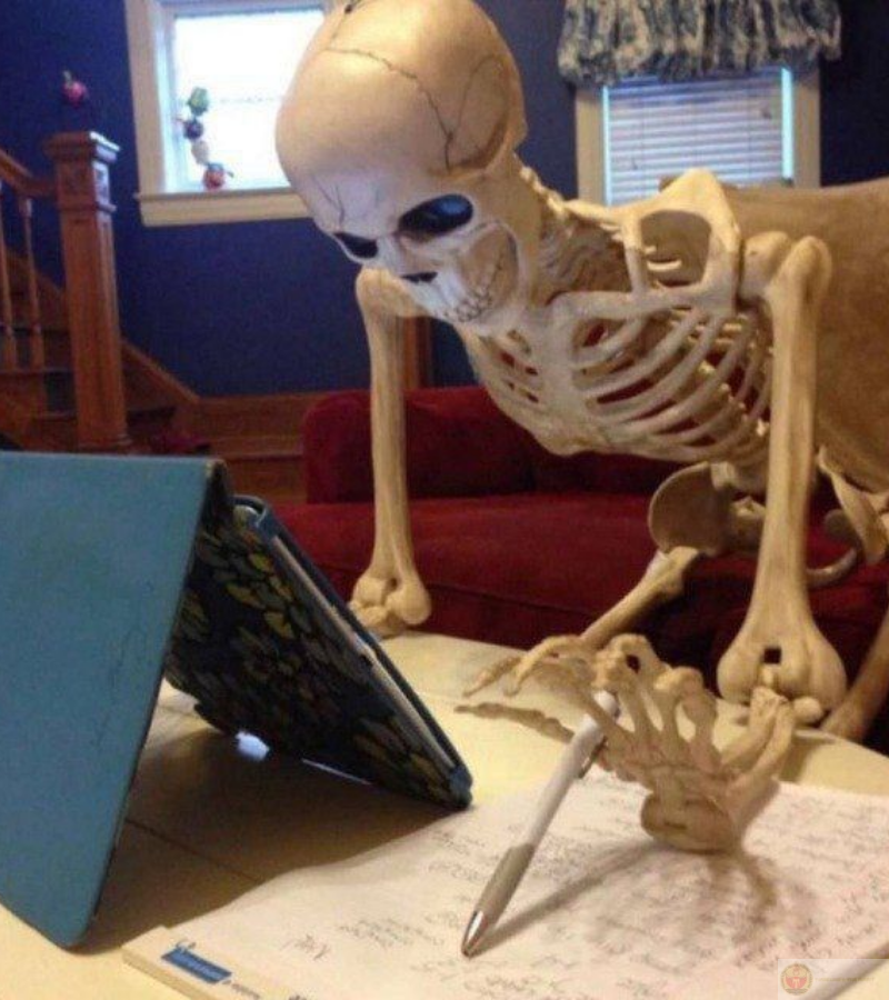 Hình làm việc hăng say trước máy tính