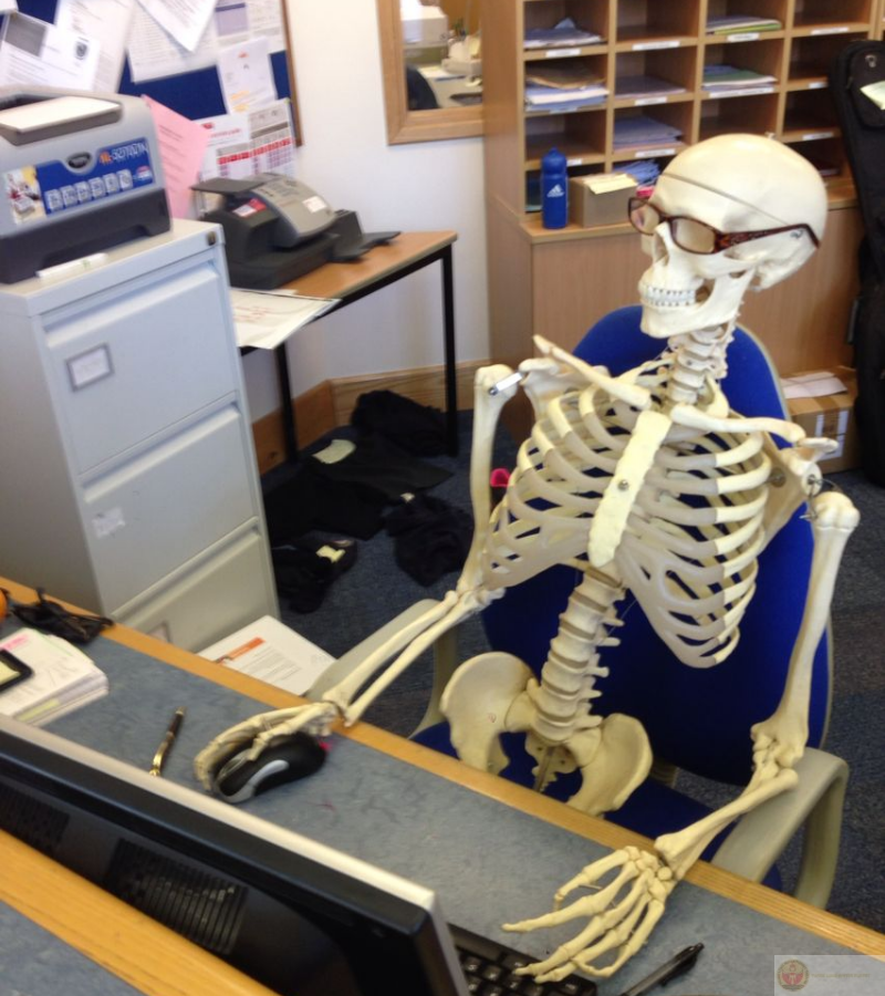 Skeleton làm việc chăm chỉ