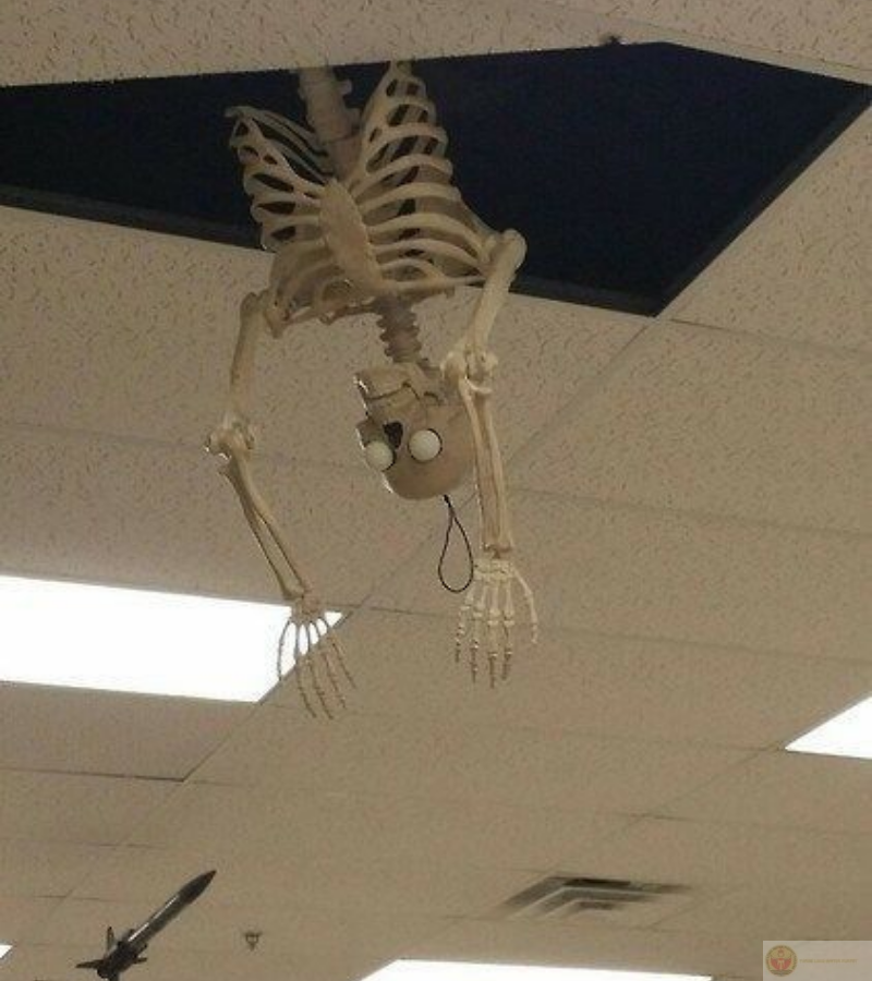 Ảnh meme bộ xương dọa người với phong cách hài hước