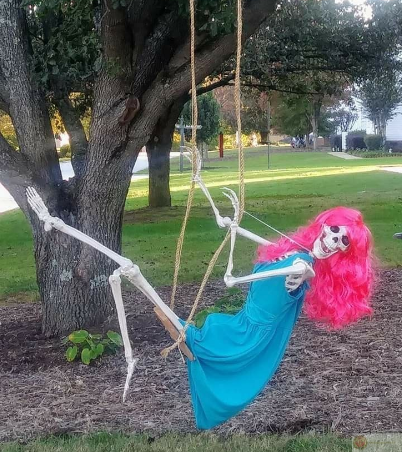 Skeleton đung đưa trên xích đu với thần thái hài hước khó đỡ