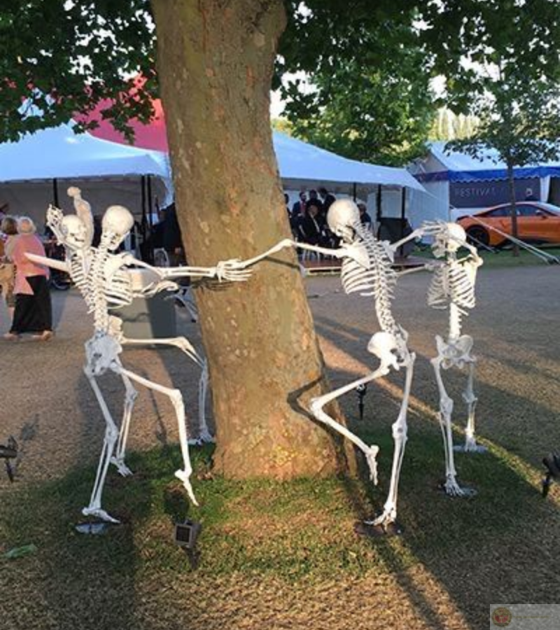 Nhảy múa quanh gốc cây, xương xẩu mà vui nhộn hết mức