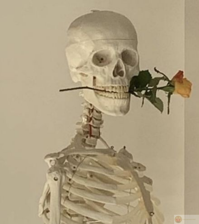 Skeleton tạo dáng ngậm hoa