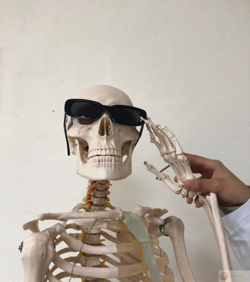 Đứng nghiêm tuân lệnh