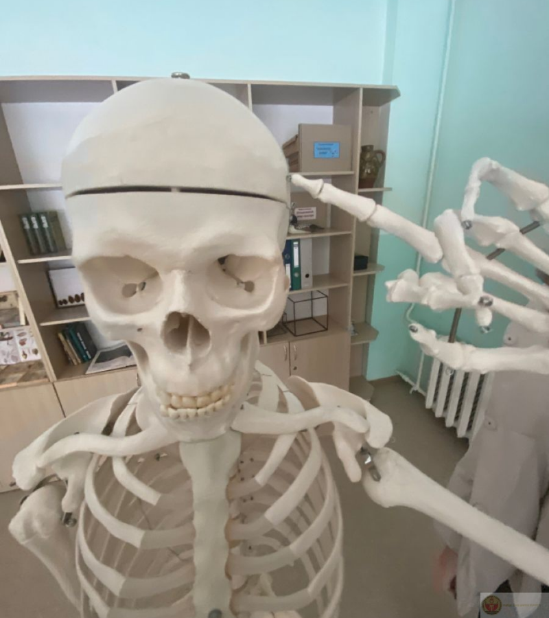 Skeleton gây cười vì độ cute không tưởng.