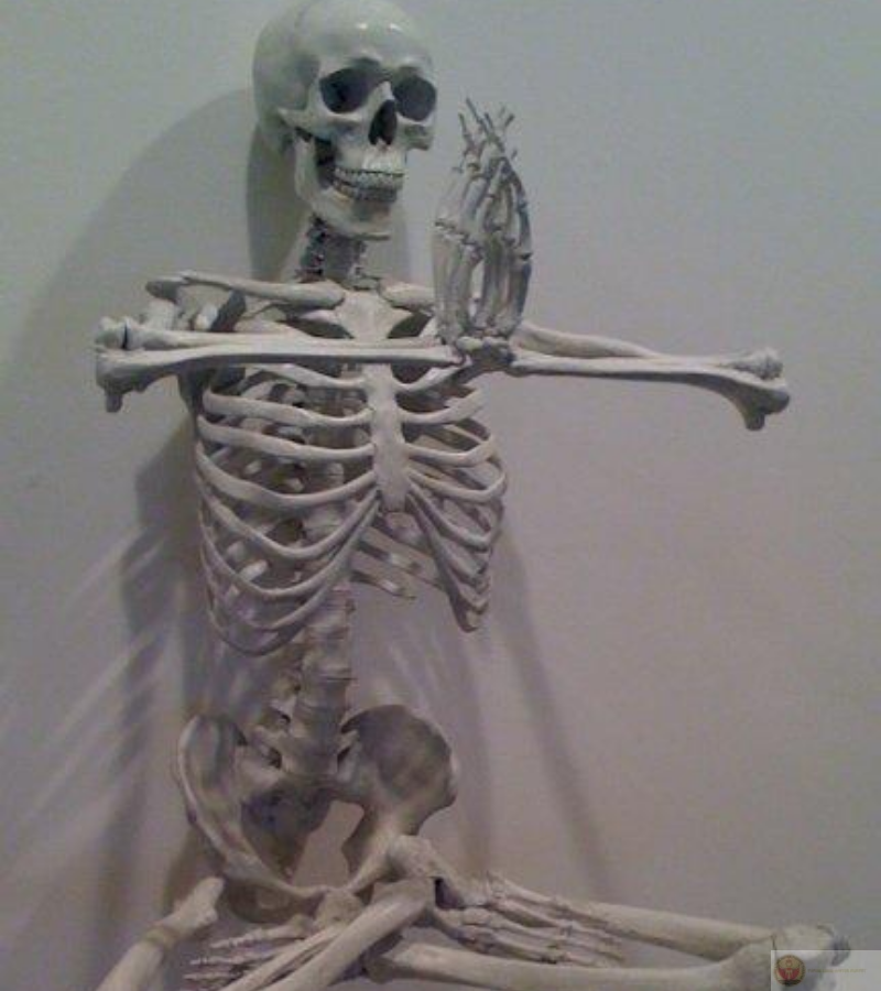 Hình ảnh sleleton tập yoga với tư thế hài hước, xương mà vẫn dẻo dai.