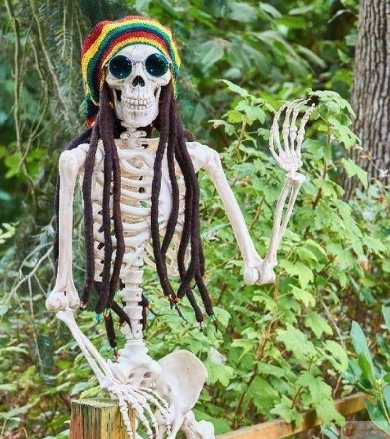 Skeleton tạo tiếng cười nhờ thần thái cực ấn tượng