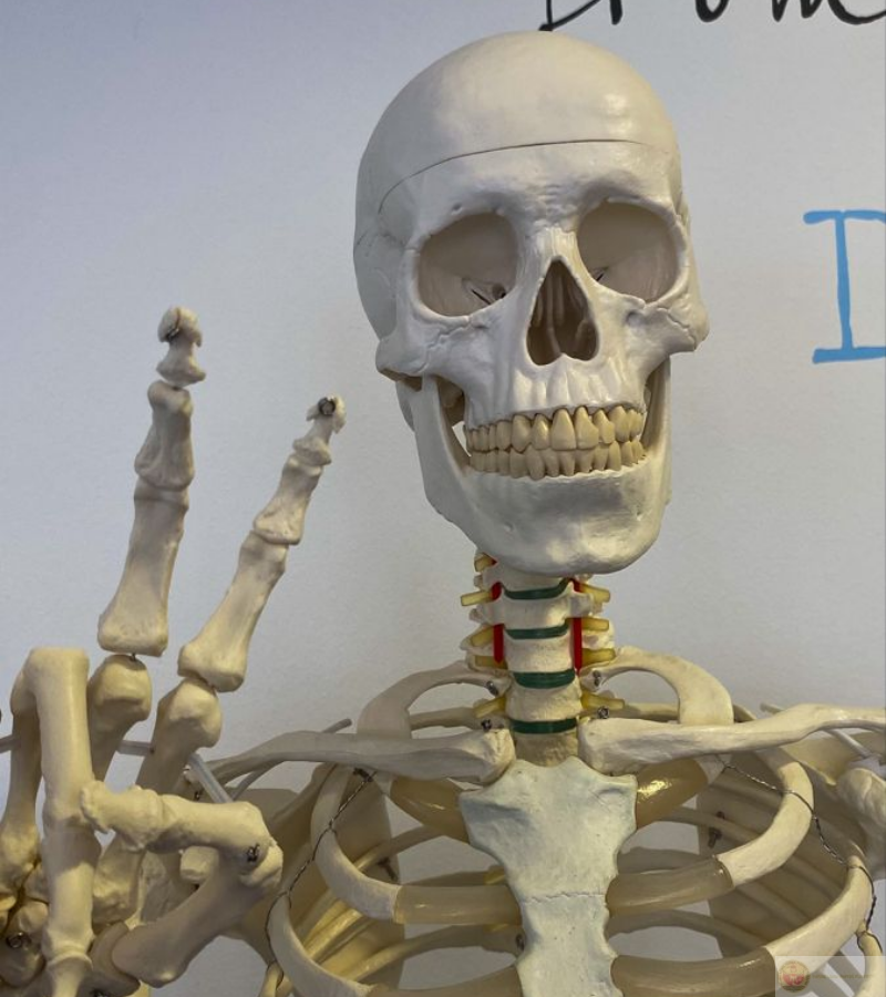 Steleton say hi, gây cười ngay lập tức