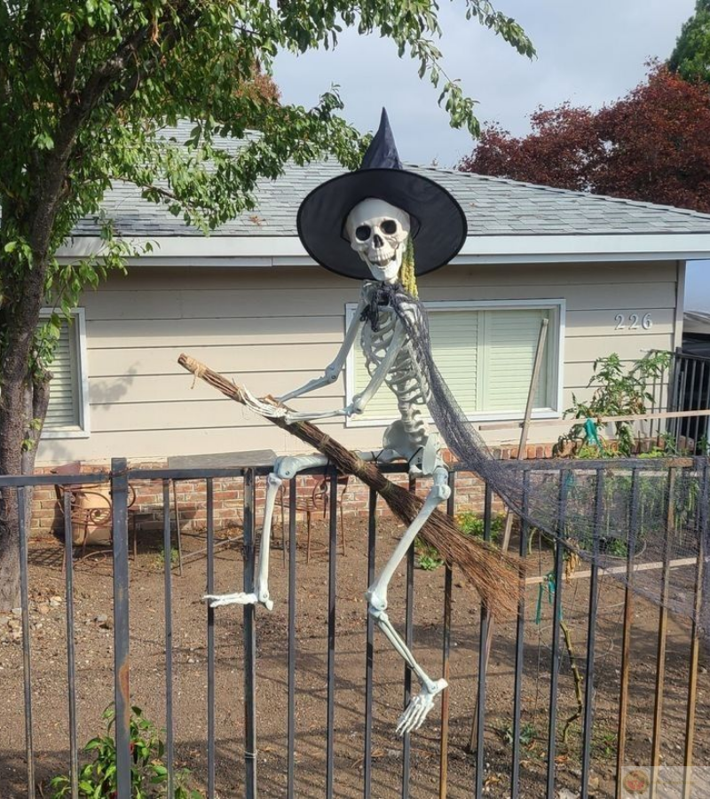 Skeleton hoá thân thành phù thuỷ