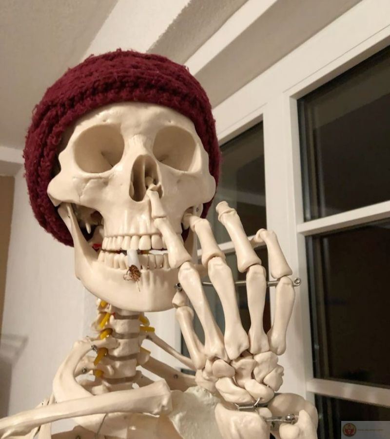 Ngoáy mũi với phong cách hài hước