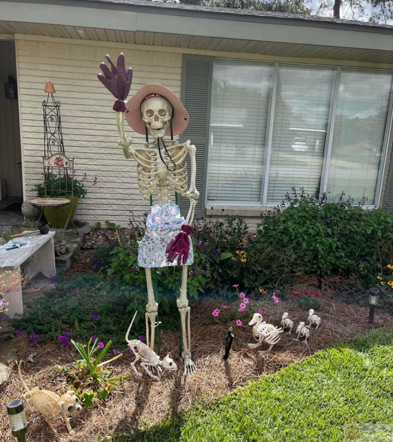 Skeleton trồng hoa