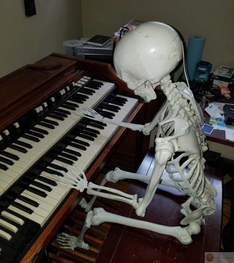 Đánh đàn siêu thần thái