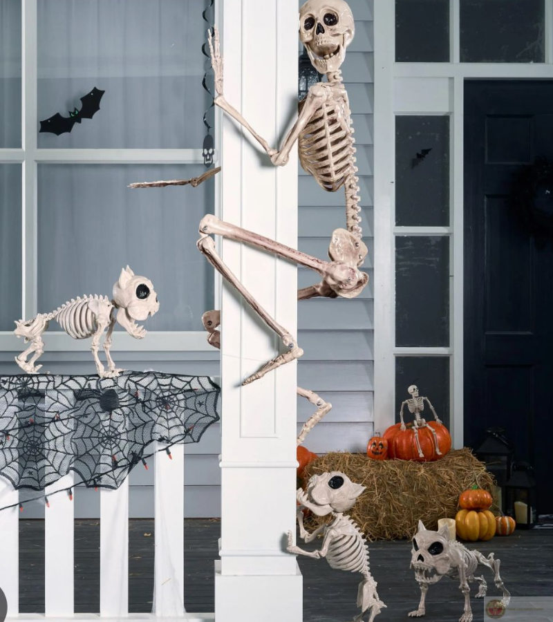 Skeleton bị chó đuổi trèo lên cột nhà gây cười
