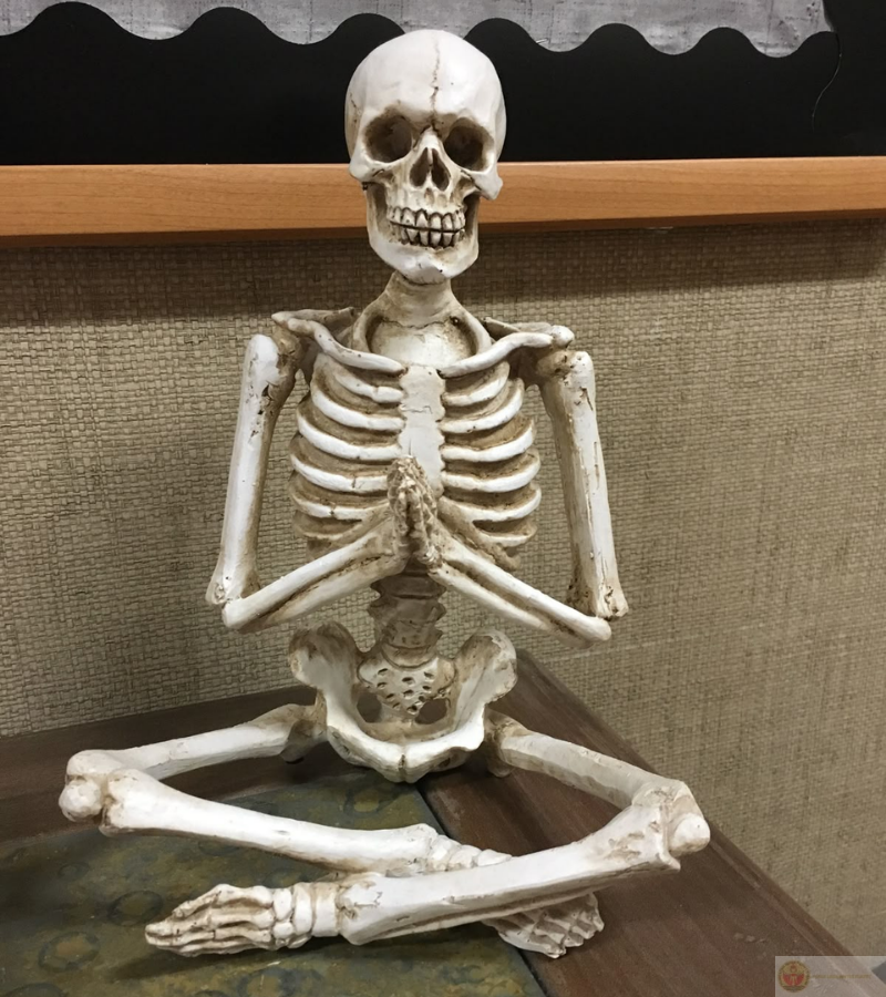 Tĩnh tâm niệm Phật với vẻ hài hước khó đỡ