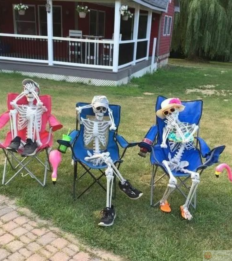 Cùng nhau ngồi thư giãn ở sân vườn