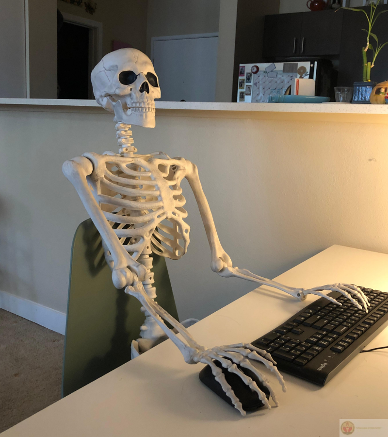 Skeleton ngồi trông mong ai đó xuất hiện