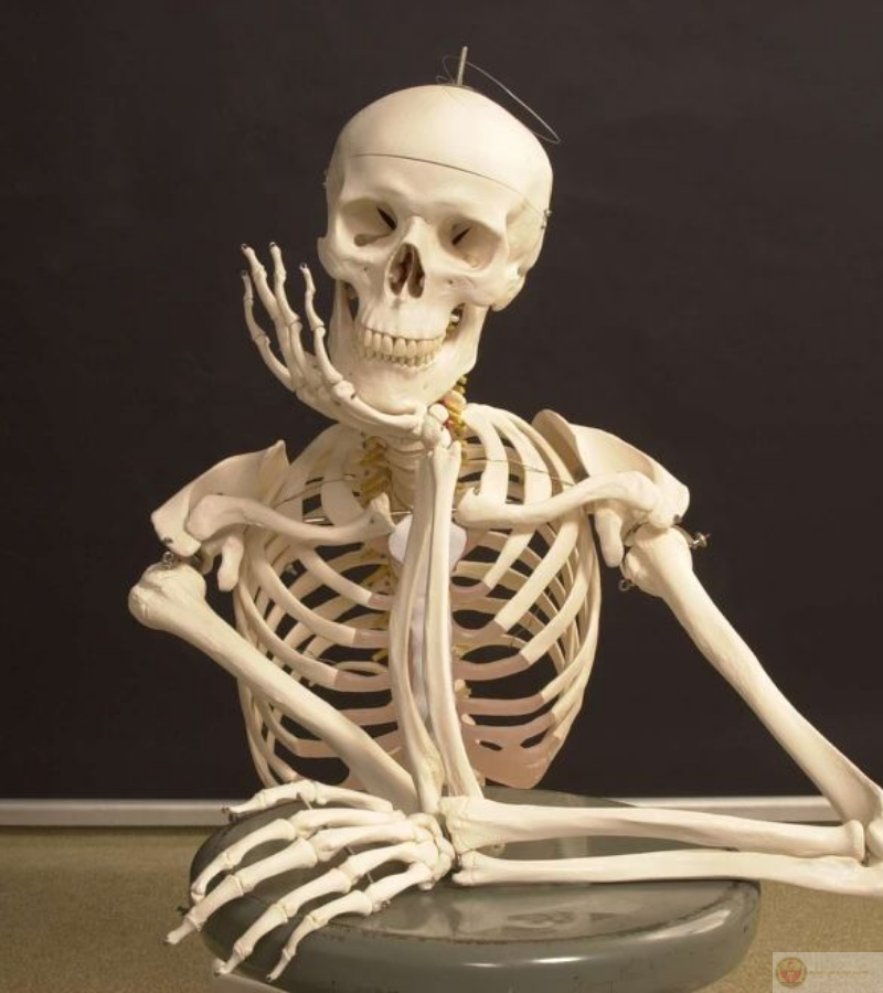 Ngồi chờ crush, vừa hồi hộp vừa hài hước