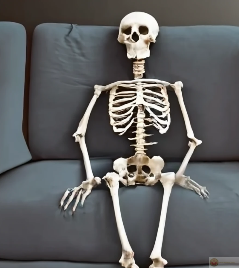 Skeleton háo hức chờ chương trình yêu thích sắp chiếu, vừa hồi hộp vừa hài hước