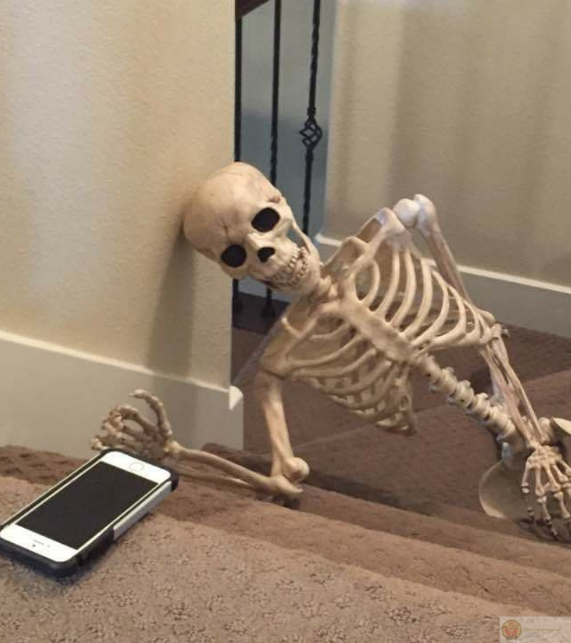 Skeleton ngồi chờ ai đó trả lời, vừa hồi hộp vừa buồn cười
