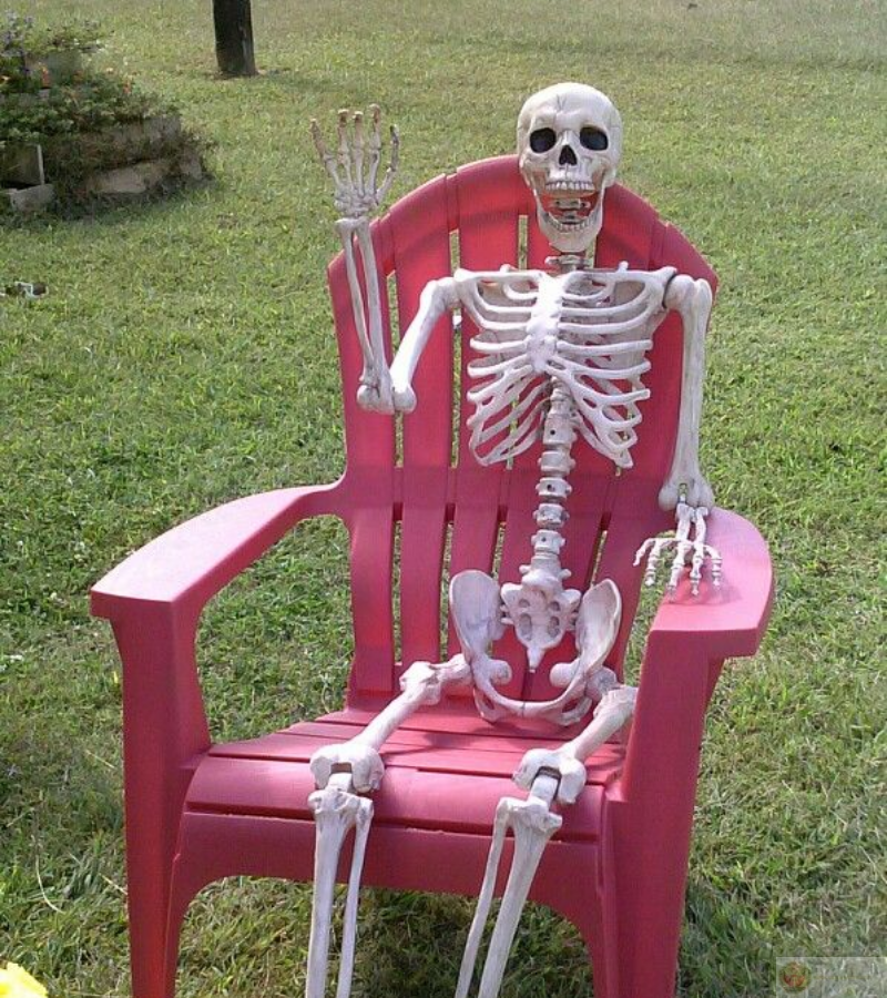 Ngồi ghế hồng chờ bạn cực đáng yêu