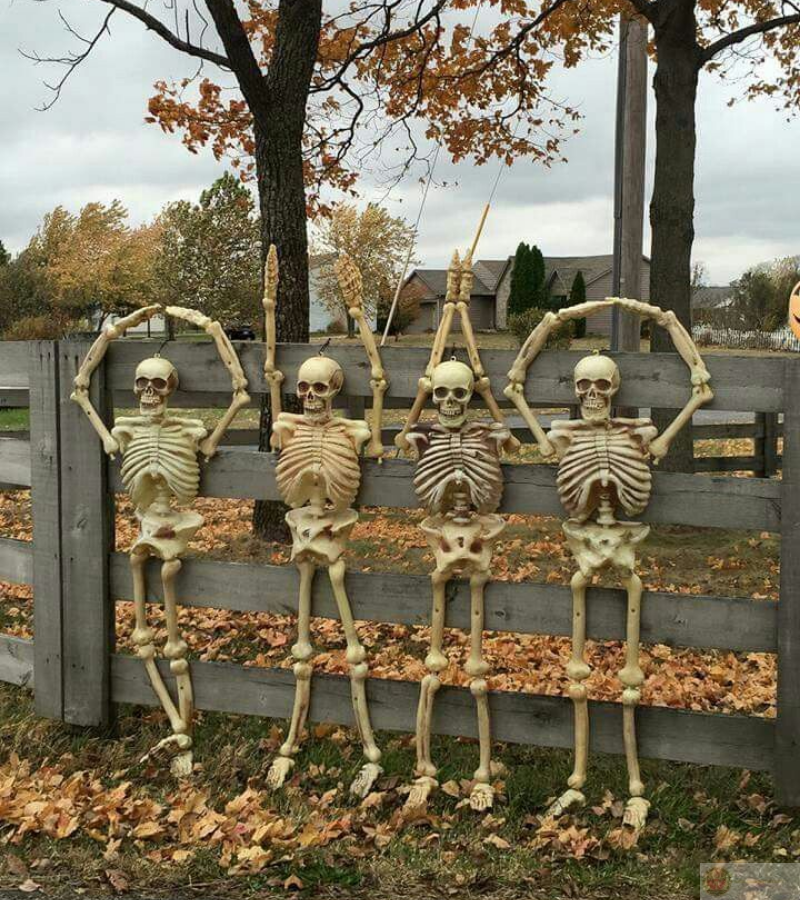 Skeleton hăng say tập thể dục, xương cũng phải khỏe